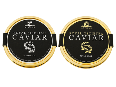 The Attilus Caviar Tasting Selection. Royal Siberian and Oscietra