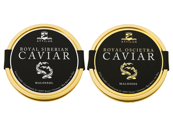 Attilus Caviar Tasting Selection